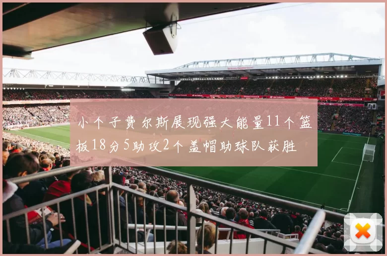 小个子费尔斯展现强大能量11个篮板18分5助攻2个盖帽助球队获胜