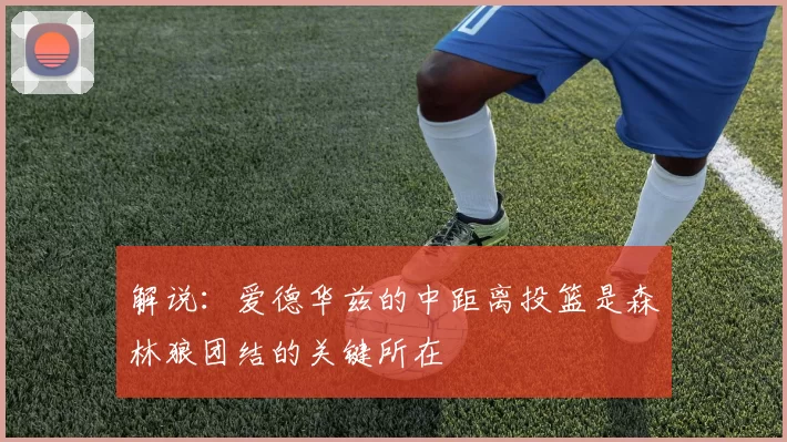 解说：爱德华兹的中距离投篮是森林狼团结的关键所在