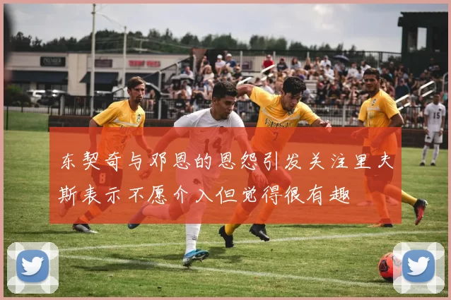 东契奇与邓恩的恩怨引发关注里夫斯表示不愿介入但觉得很有趣